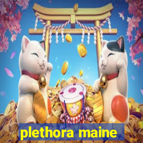 plethora maine